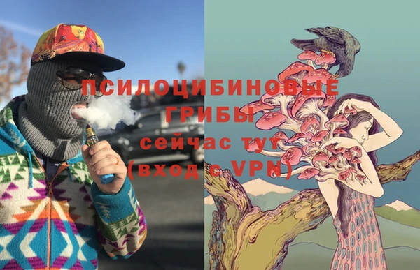 мдма Каменногорск