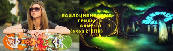 мдма Каменногорск
