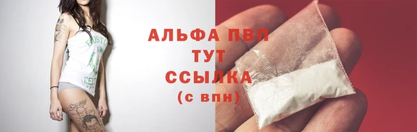 первитин Гусев