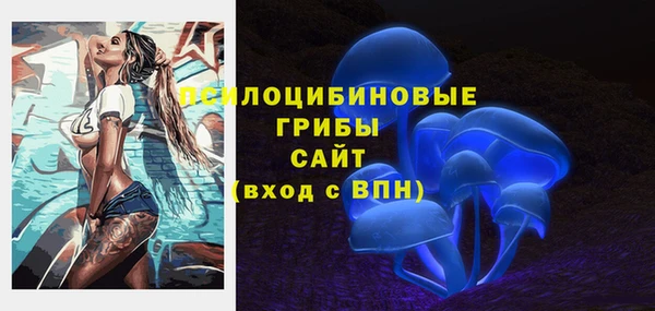 мдма Каменногорск