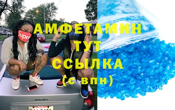 индика Абаза