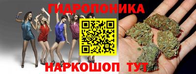 jwh Чебоксары