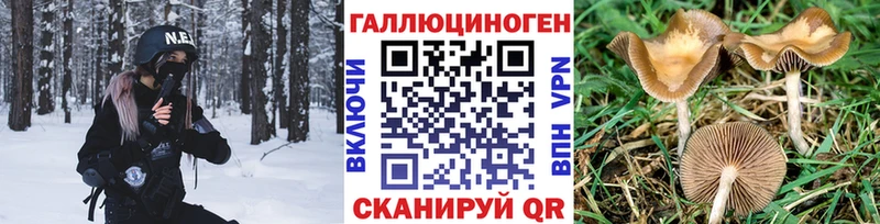 где купить наркотик  KRAKEN сайт  Псилоцибиновые грибы прущие грибы  Новочеркасск 