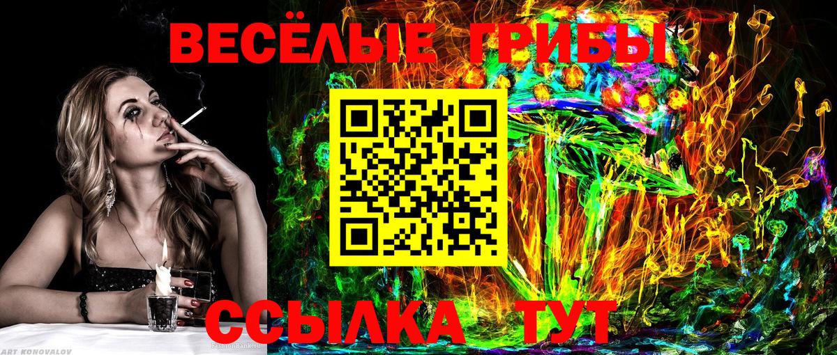 Псилоцибиновые грибы Magic Shrooms  Вход с VPN  как найти   Новочеркасск 
